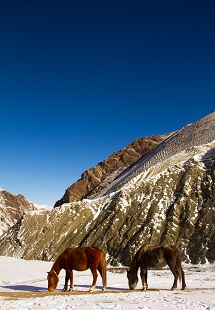 Hemis National Park